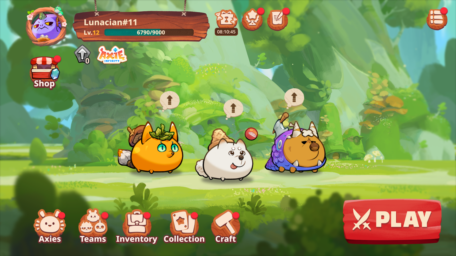 What Axie Infinity looks like from the inside.